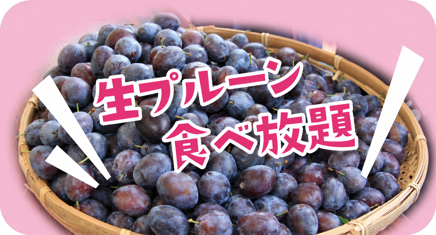 生プルーン食べ放題